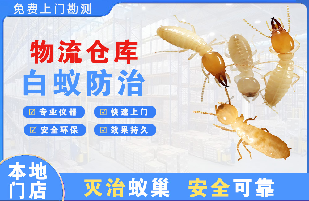 龙岩物流仓库白蚁防治