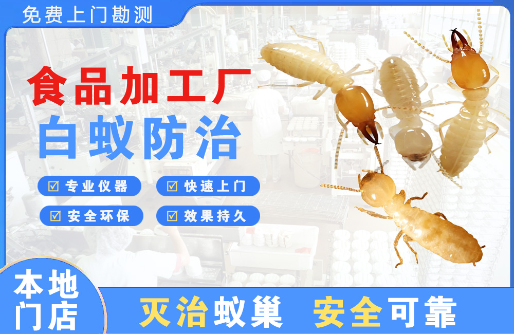 龙岩食品加工厂白蚁防治