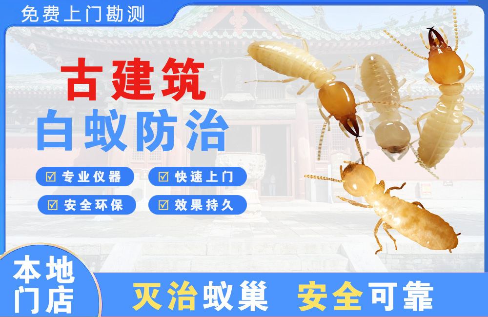 龙岩古建筑白蚁防治