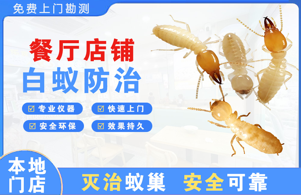 龙岩餐厅店铺白蚁防治